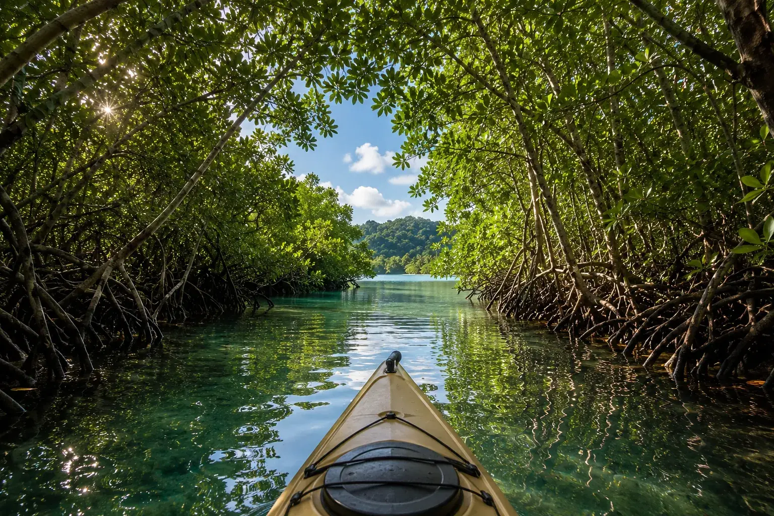 Paddling a kayak through a mangrove channel, the arched roots and canopy closing in on both sides and open water ahead